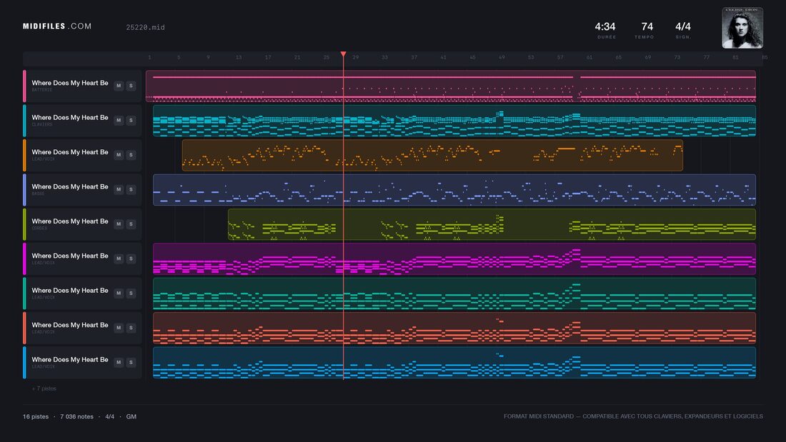 Where Does My Heart Beat Now — Celine Dion : piano roll MIDI multipiste