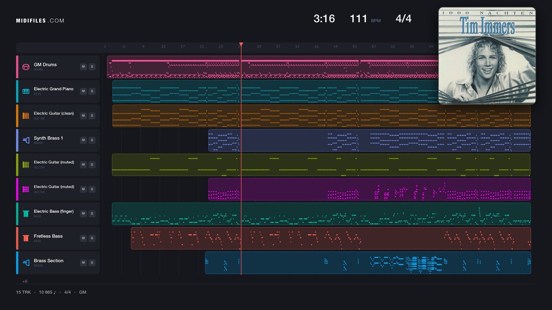 Liever Dan Lief — Tim Immers : piano roll MIDI multipiste